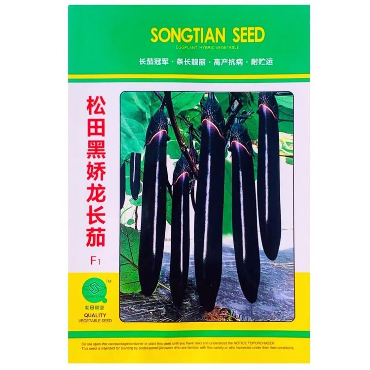 茄子种子哪个品种最好(茄子什么品种好吃产量高)