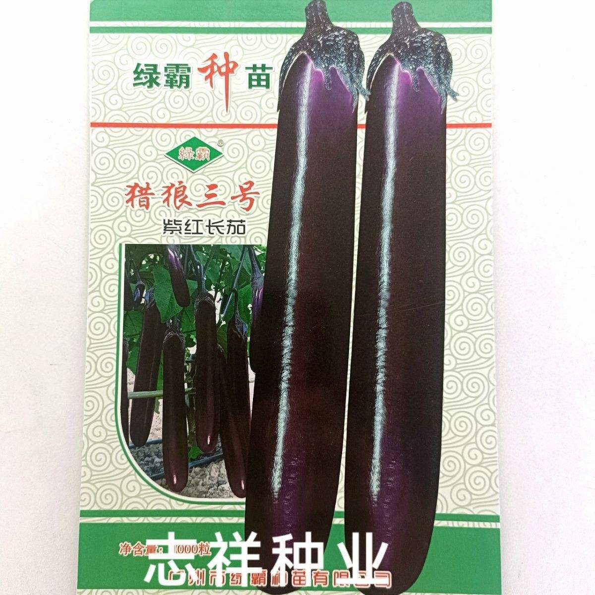 茄子种子哪个品种最好(茄子什么品种好吃产量高)