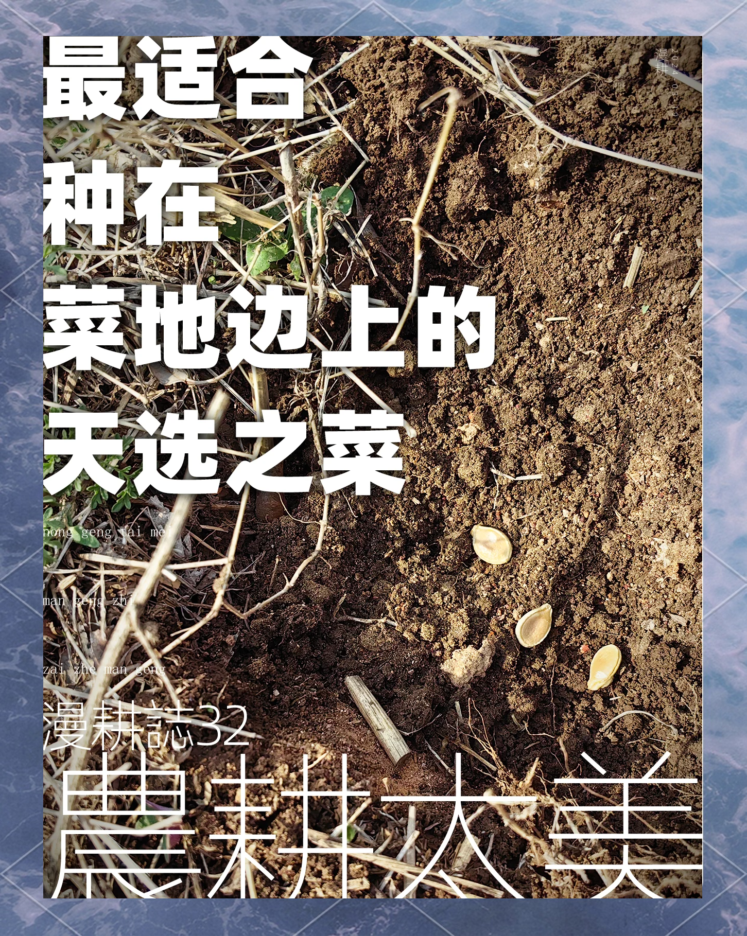南瓜施肥方法如下(南瓜施肥方法如下图片)