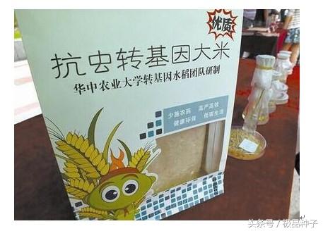 转基因利好消息(转基因概念股有哪些)