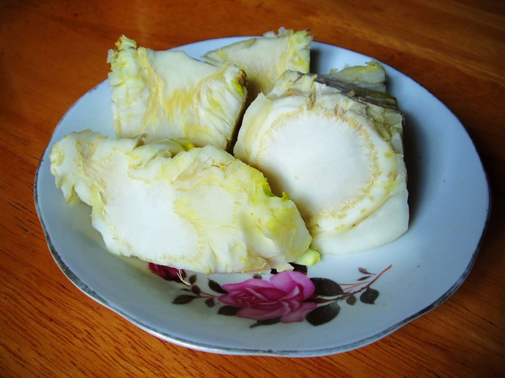 白菜根部长瘤(白菜根部长瘤是什么原因)