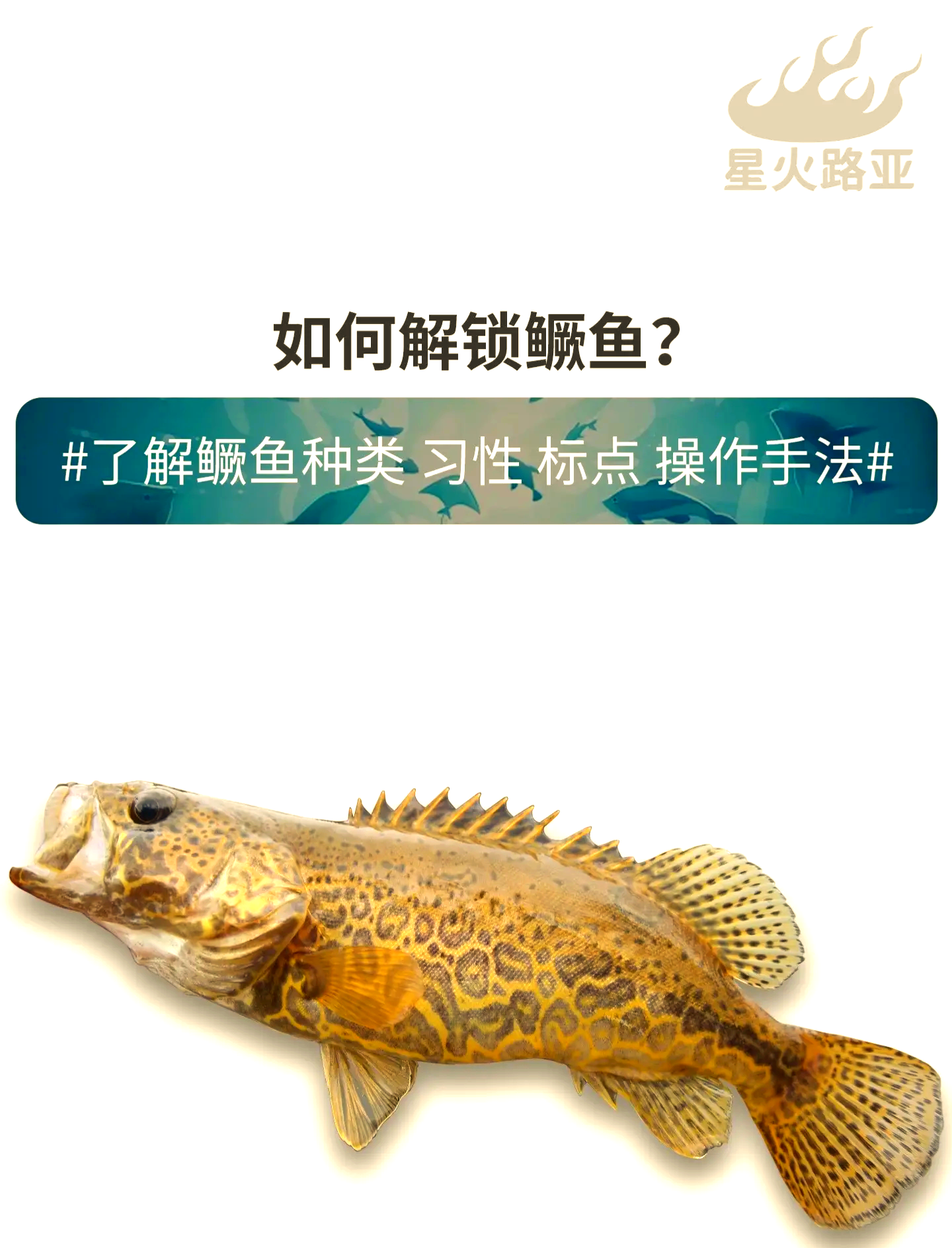 饲养技术鳜鱼(鳜鱼养殖技术及饲料)