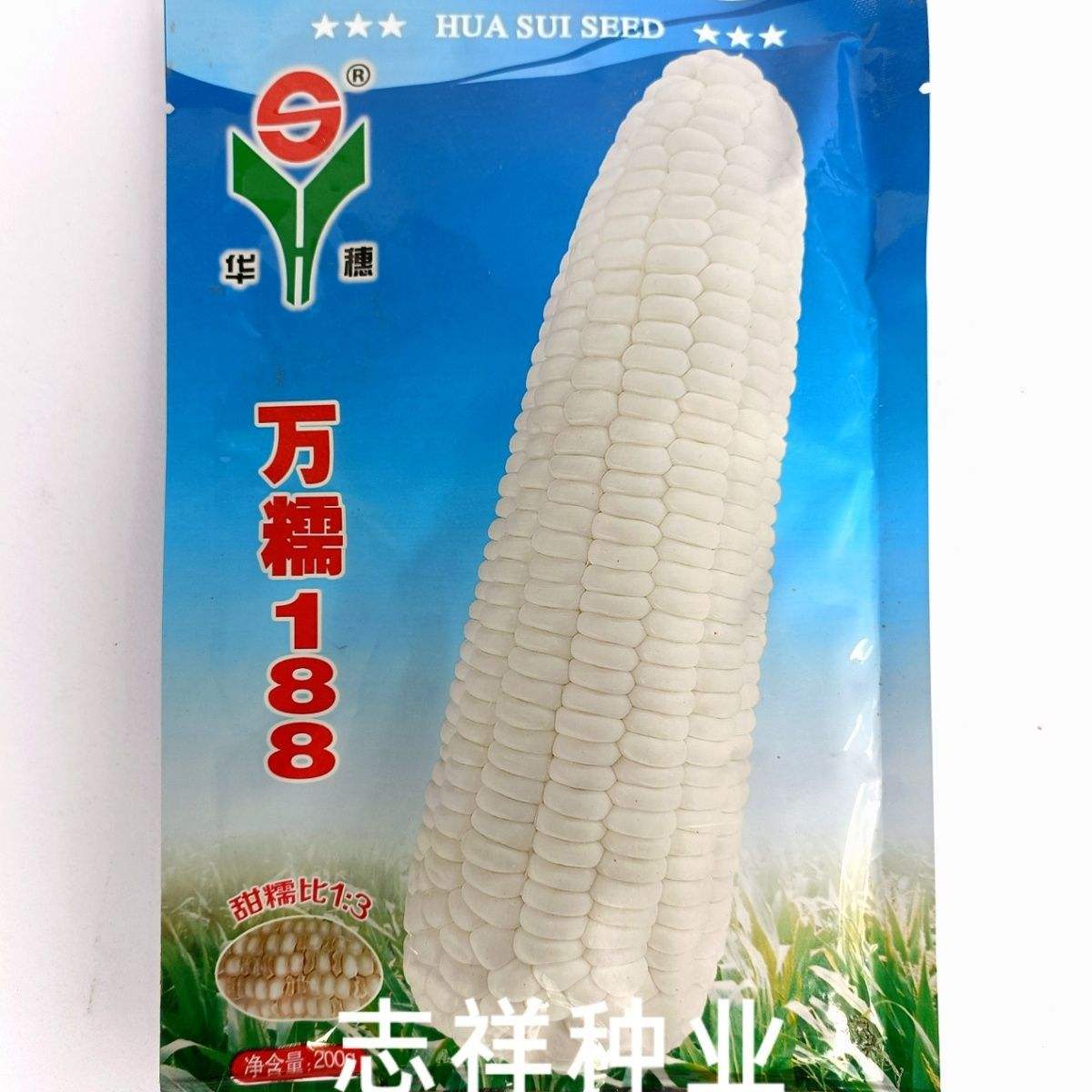 2020国审玉米品种(2020即将国审玉米种)