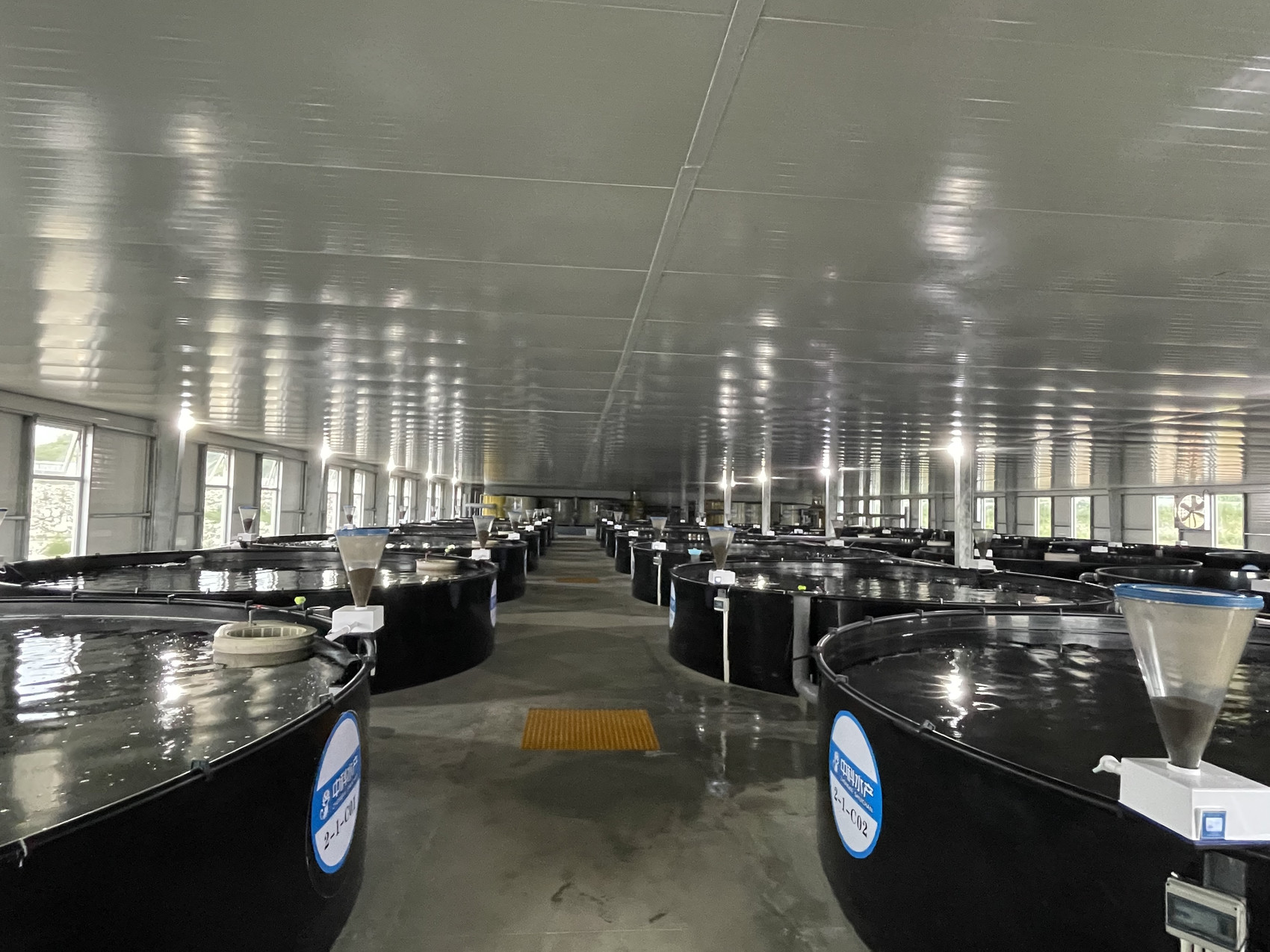 新型水产养殖技术(新型水产养殖技术有哪些)