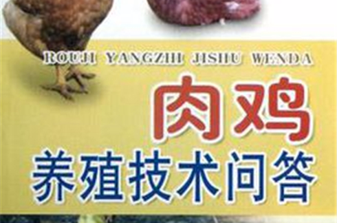 肉鸡饲养,散养肉鸡养殖技术,,1.24,2,高,技术词的简单介绍