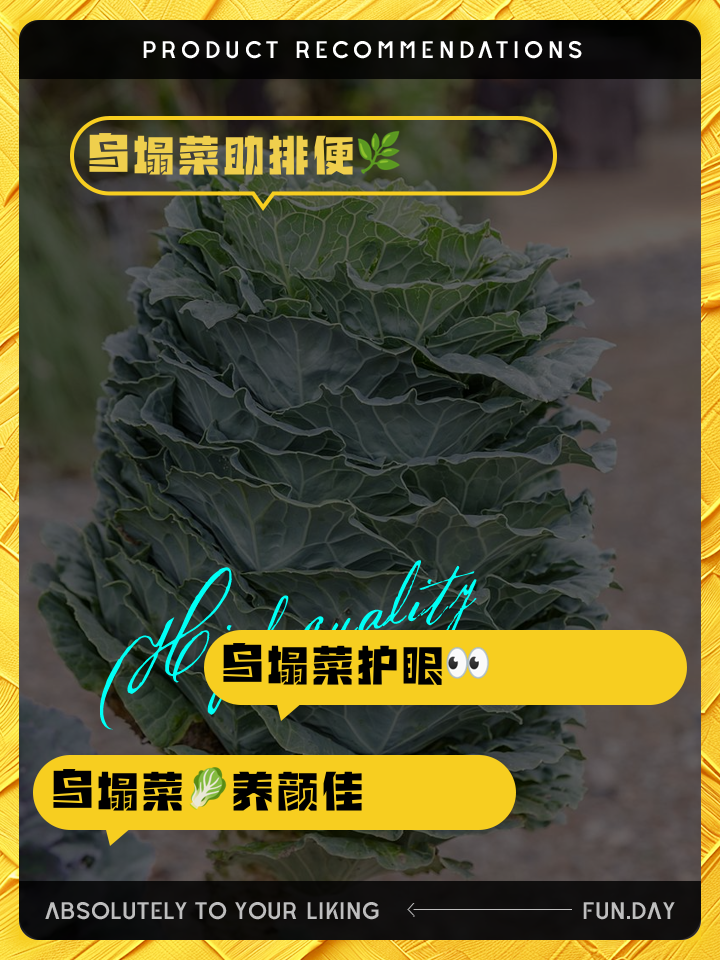 乌塔菜的种植方法(乌塔菜的种植方法和时间视频)