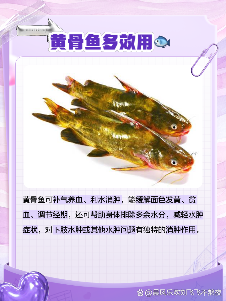 冬季小黄骨鱼养殖技术(冬季小黄骨鱼养殖技术与管理)