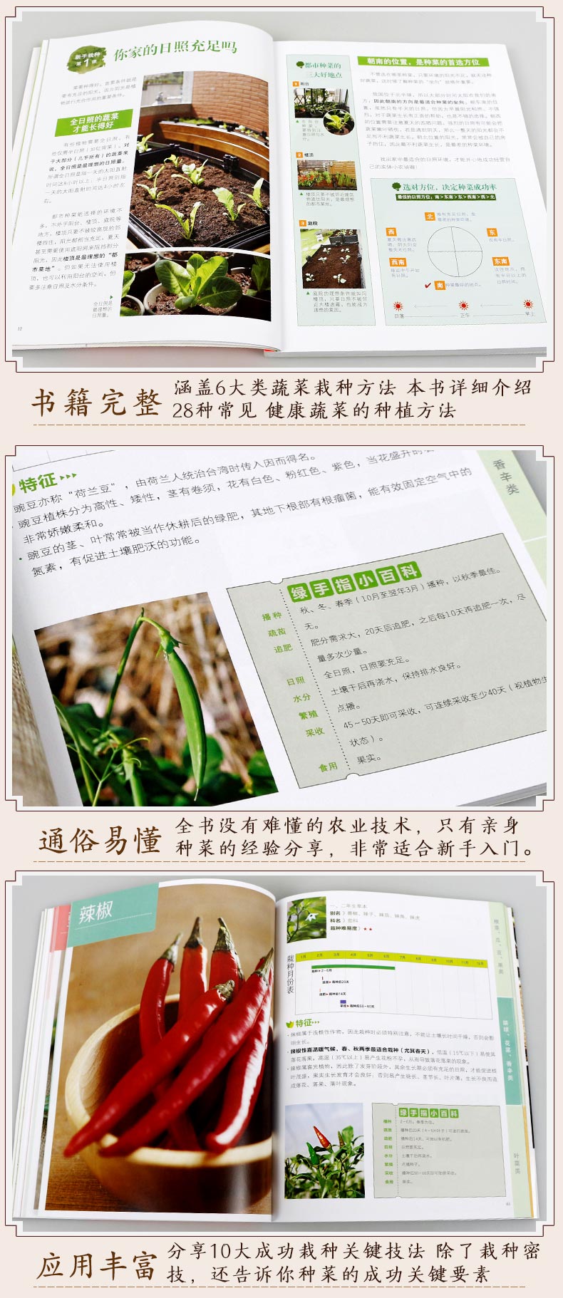 蔬菜种植大全书(蔬菜种植大全书图片)