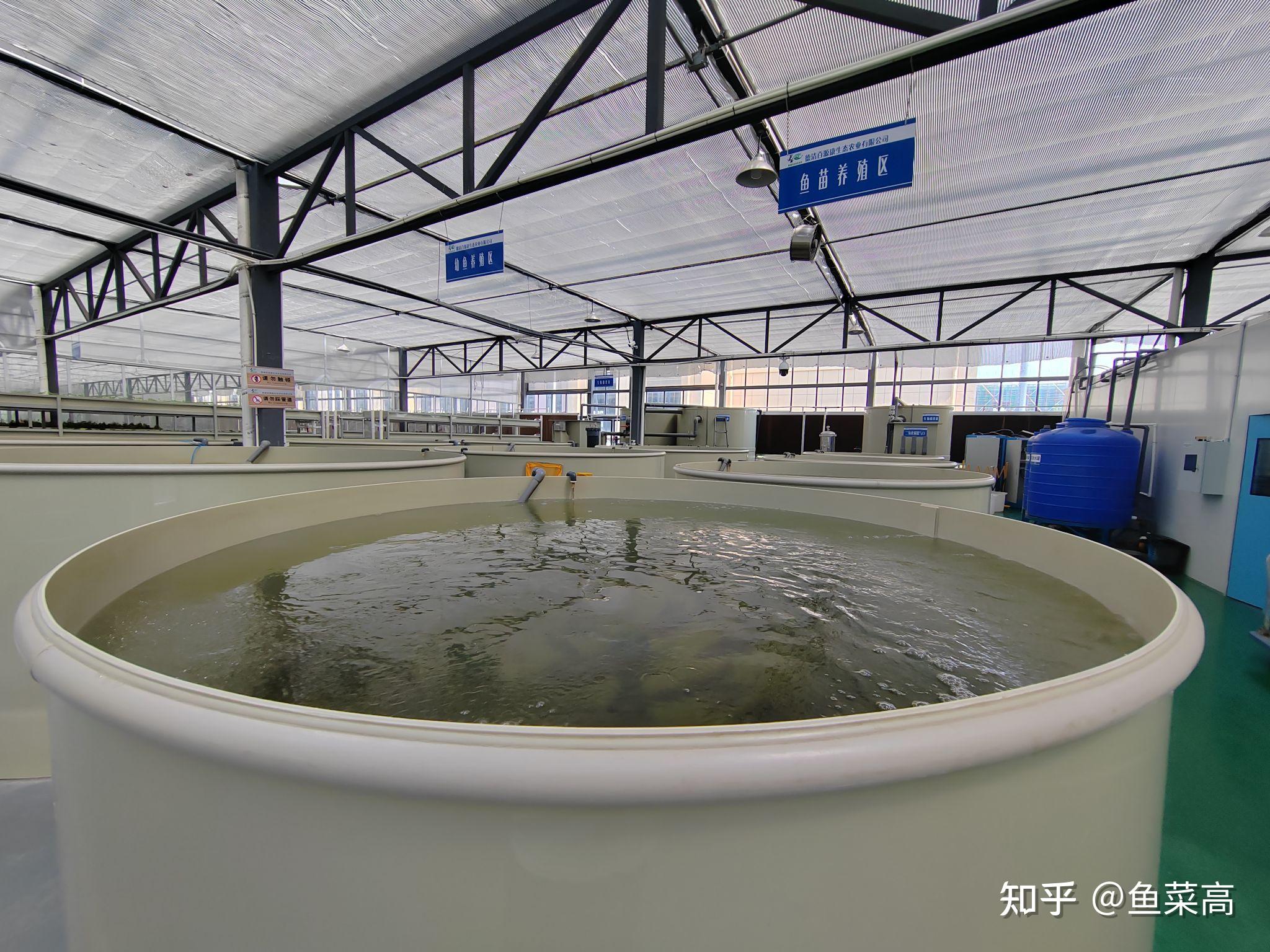 工厂化水产养殖技术(工厂化水产养殖规划设计图纸)