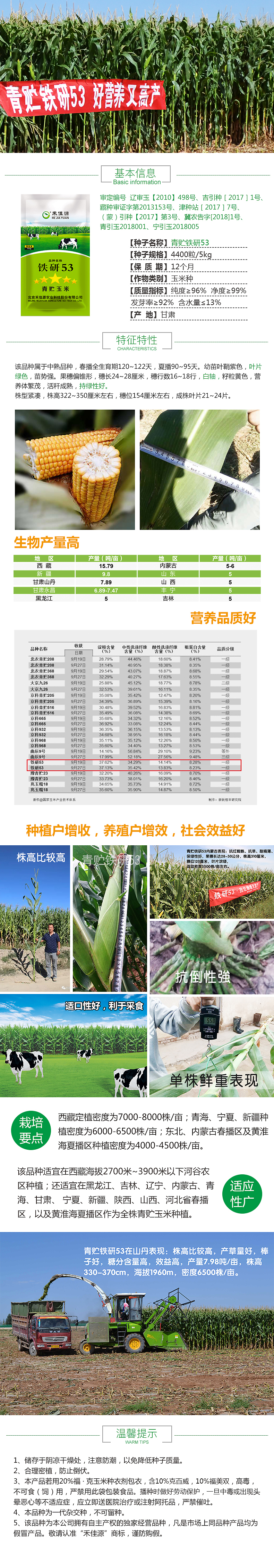 铁研系列玉米种子(铁研123玉米种视频)