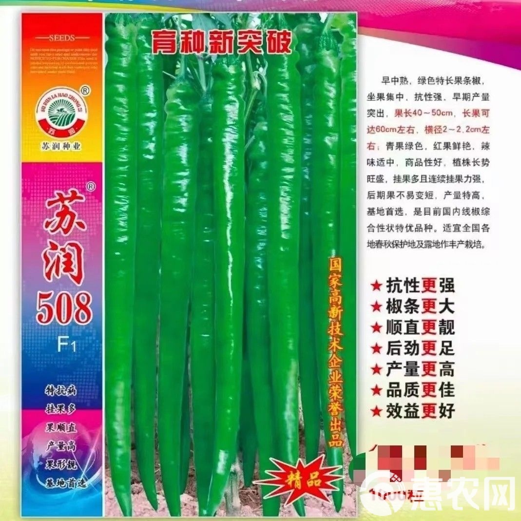 辣子种子所有品种(辣子的籽的功效和作用)