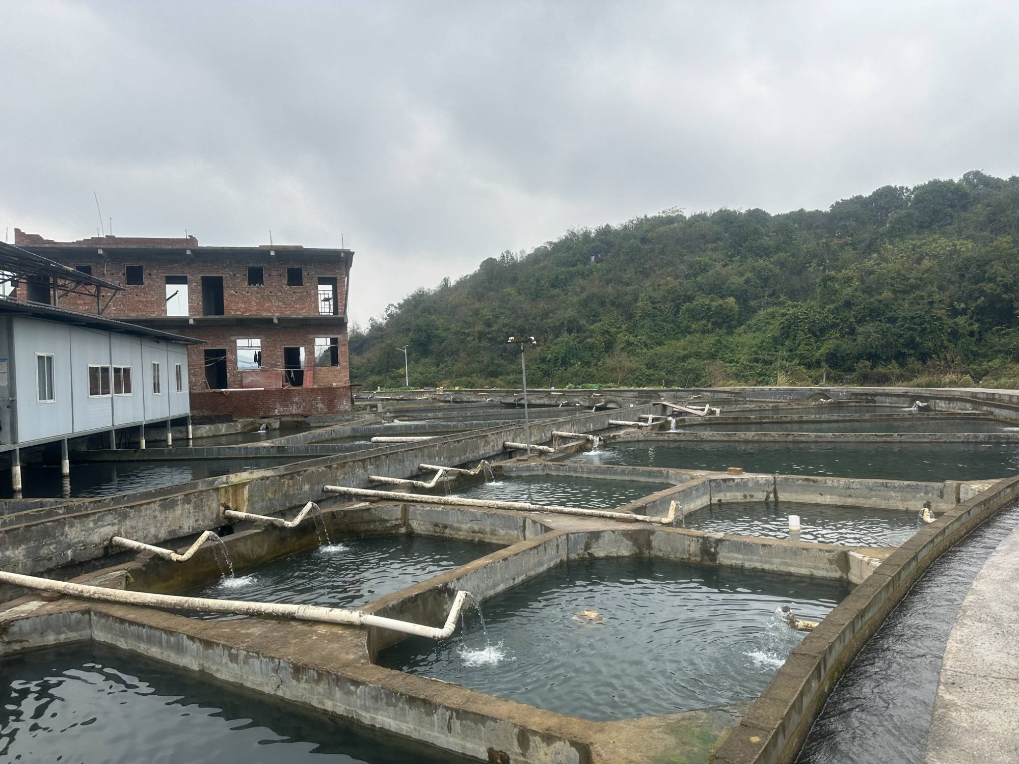 湖南农大水产养殖(湖南农大水产养殖专升本)