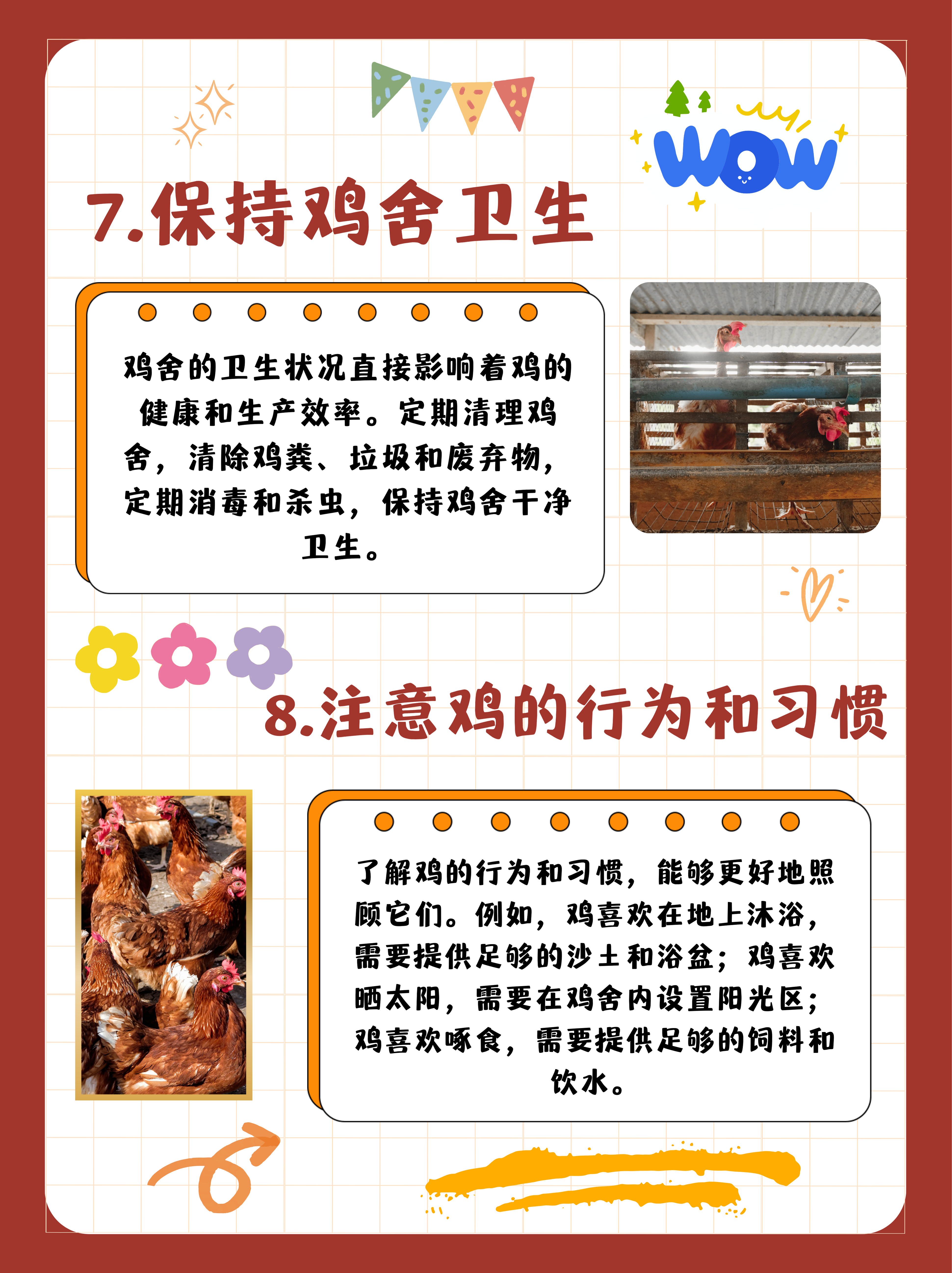关于肉鸡饲养,肉鸡养殖合作公司,,1.24,2,高,公司词的信息