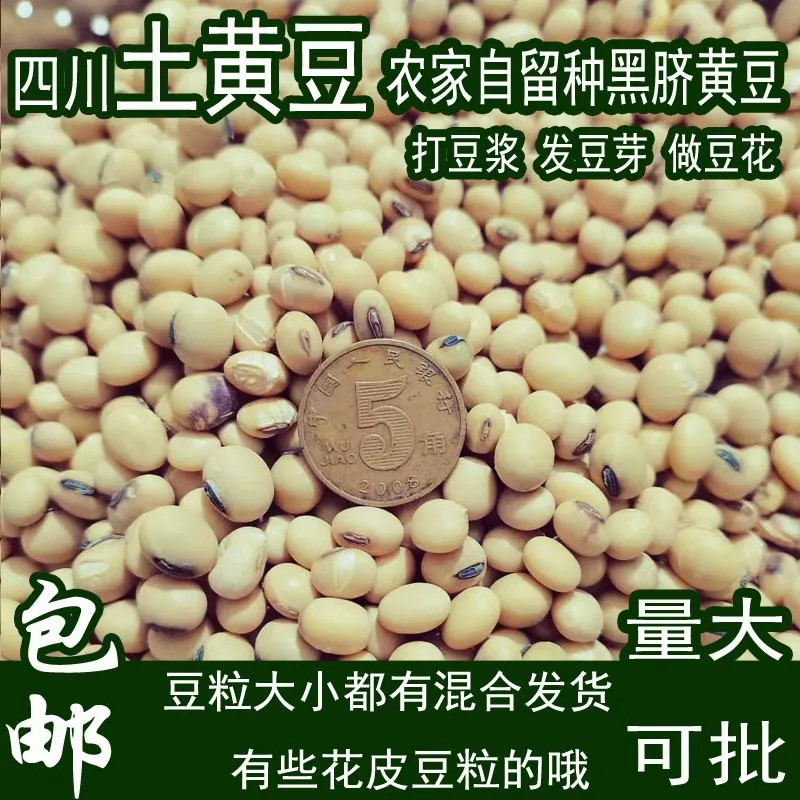 磨豆浆的豆子种(磨豆浆分为哪几道工序)