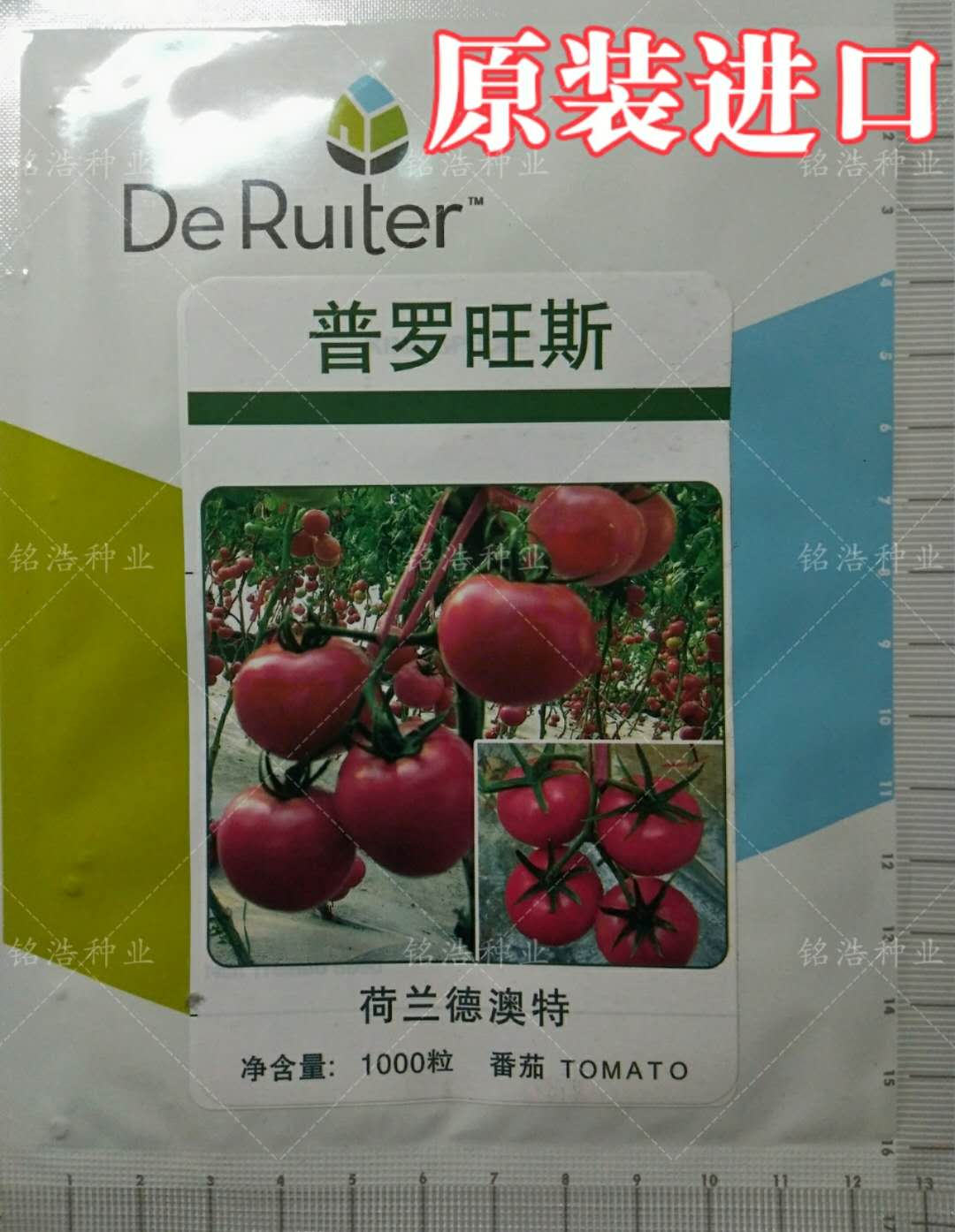 耐寒番茄种子什么品种最好(耐寒番茄种子什么品种最好看)