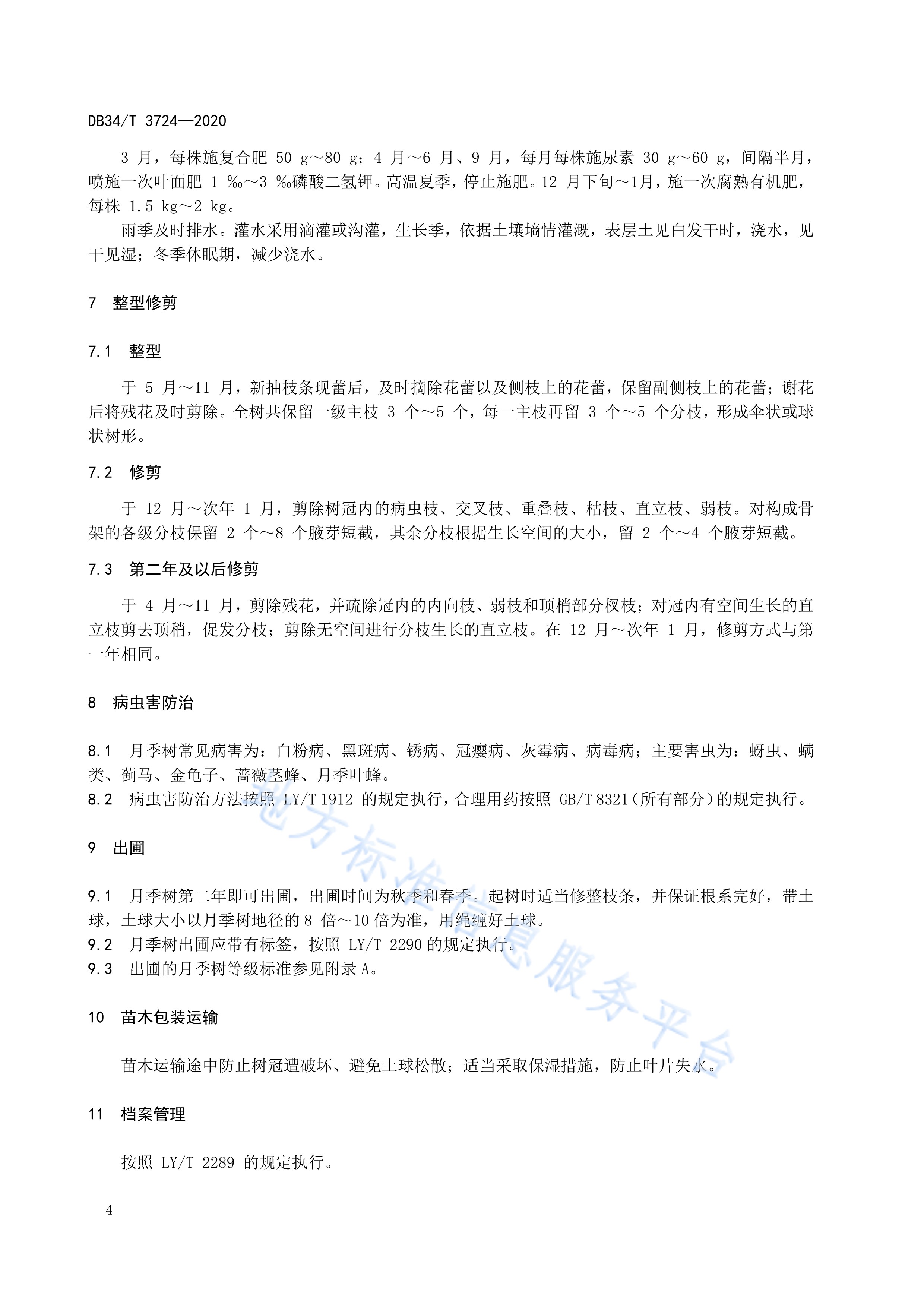 树木育苗方法(树种怎么育苗视频)