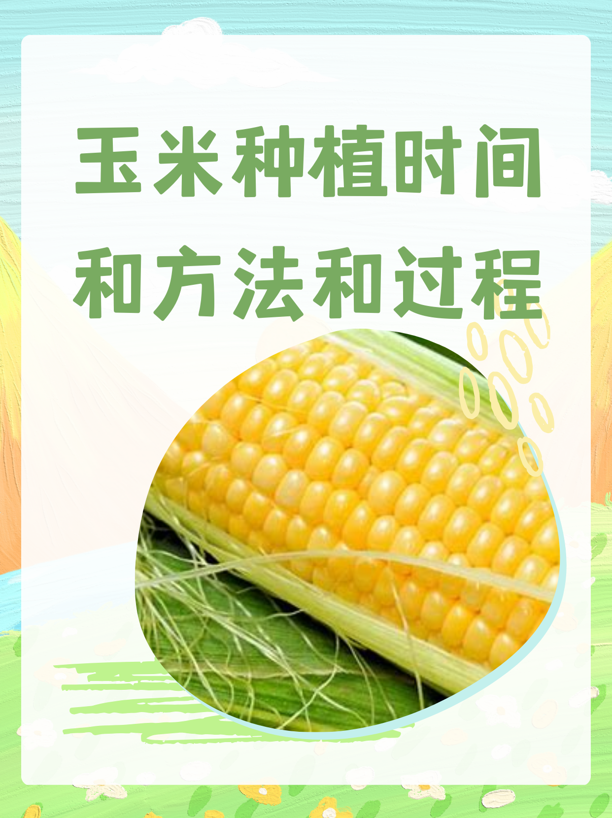 玉米的种植流程(玉米的种植流程是什么)