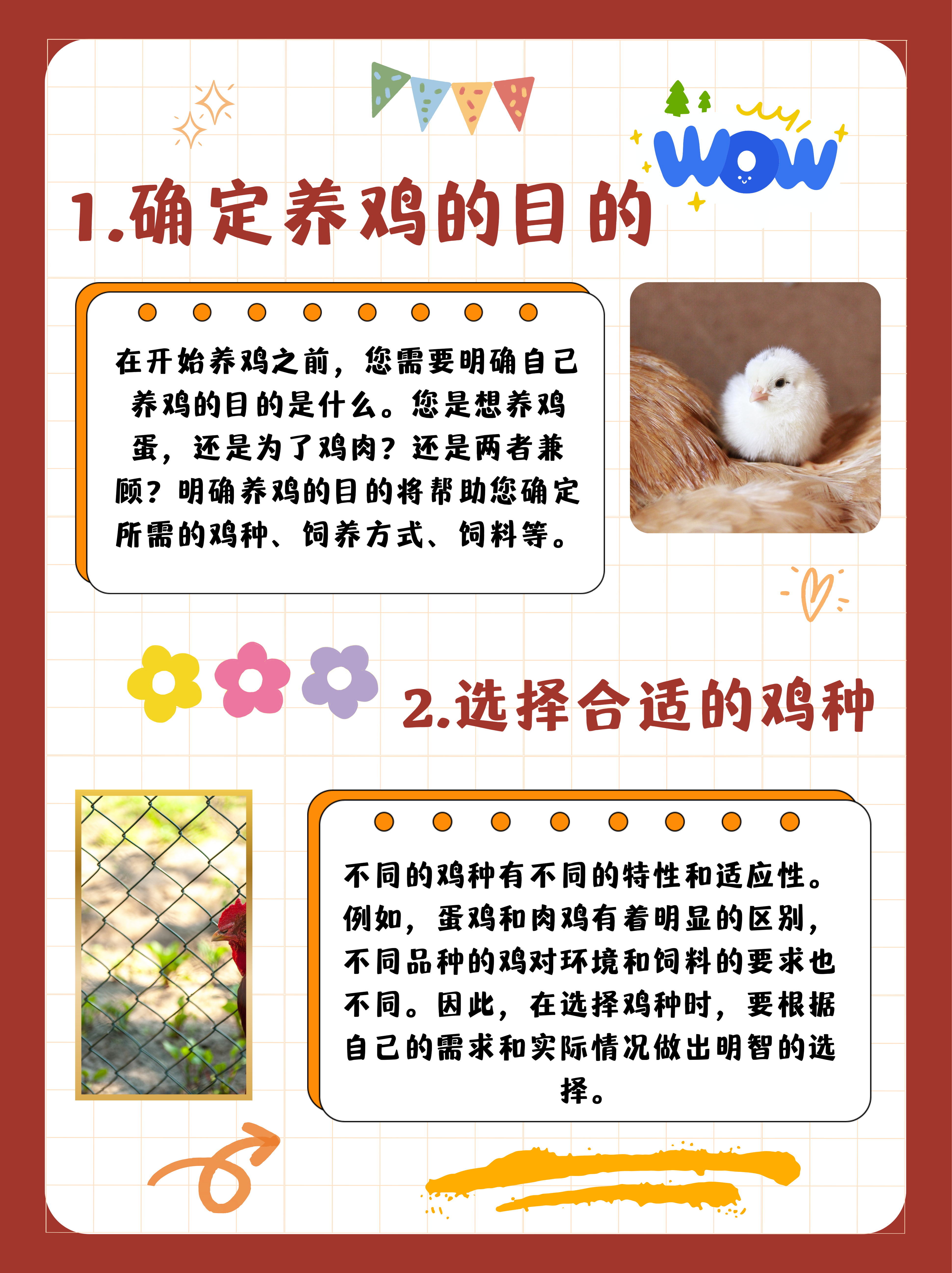 肉鸡饲养,深州市蛋鸡养殖,,1.24,2,低,地域词的简单介绍