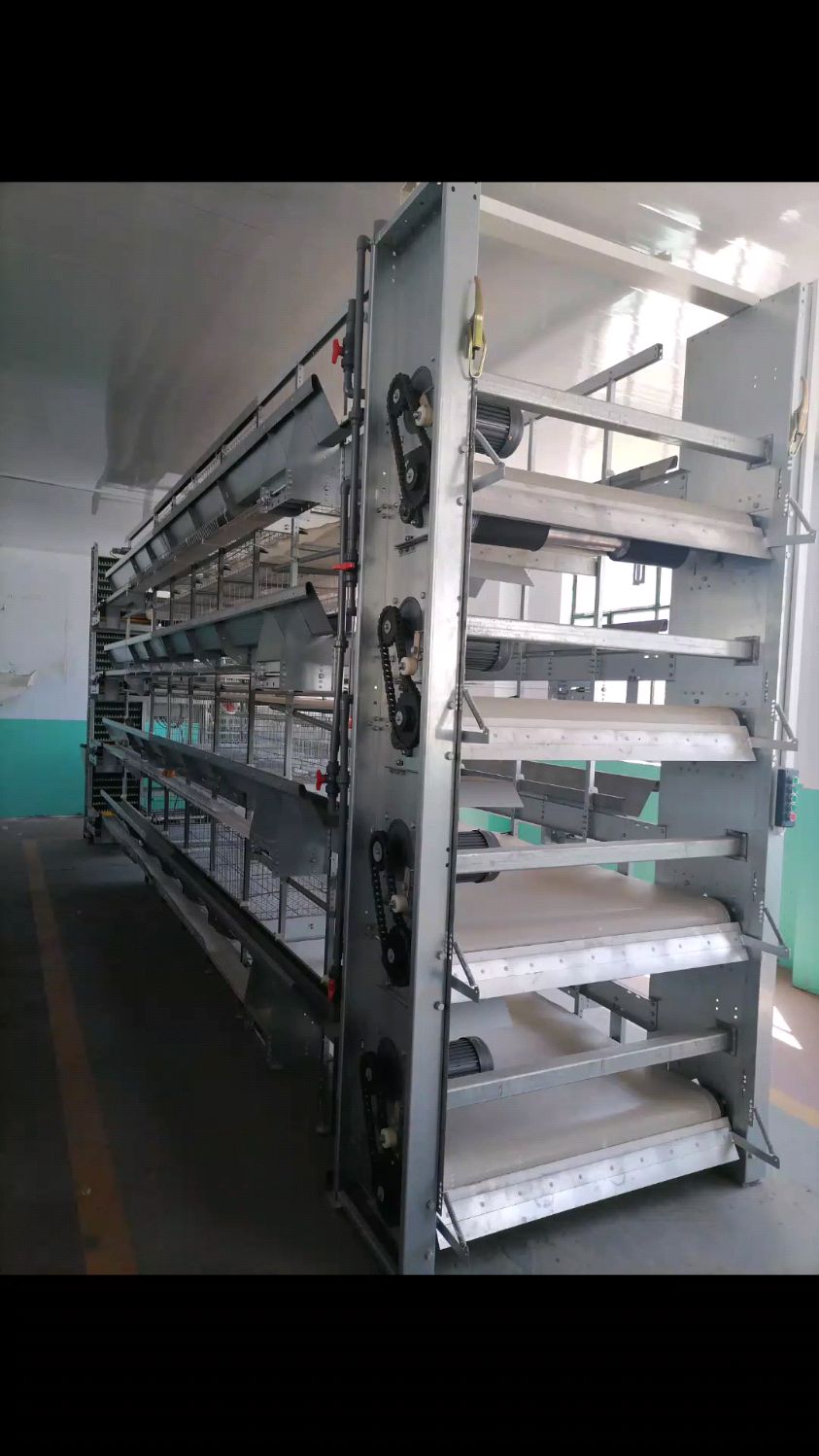 自动化蛋鸡养殖(自动化蛋鸡养殖设备行业前景)