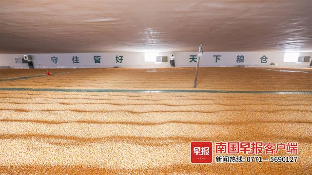 生玉米怎么储存(生玉米怎么储存一周不坏)