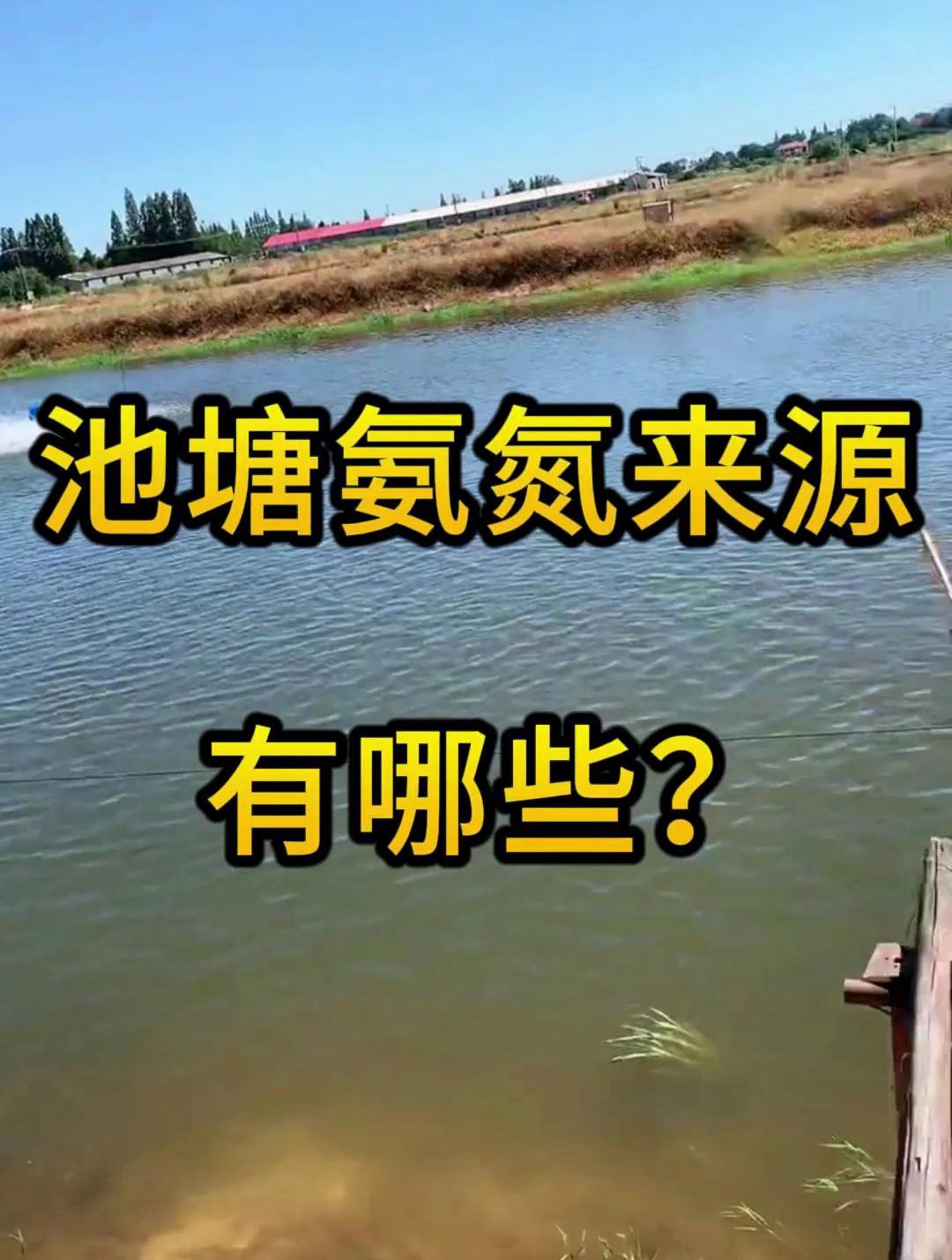 水产养殖氨氮(水产养殖氨氮超标的危害)