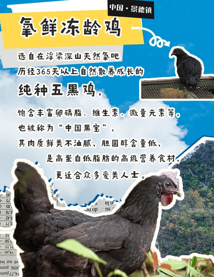 肉鸡饲养,黑水鸡怎么养殖技术,,1.24,2,低,地域词的简单介绍