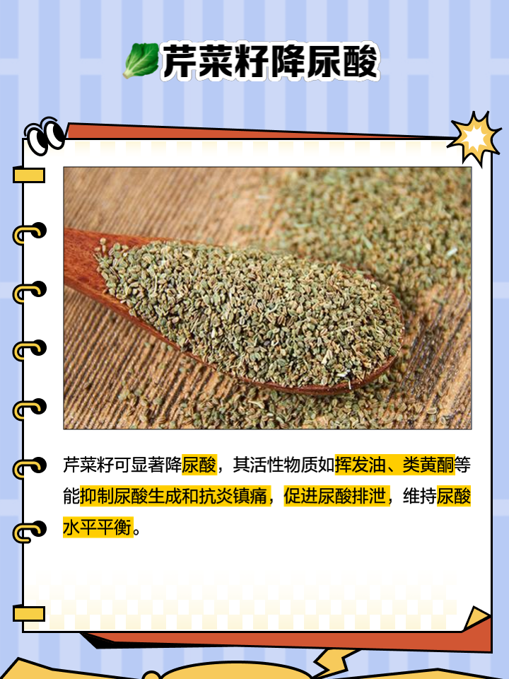 芹菜种子品种大全(芹菜种子品种大全图片)