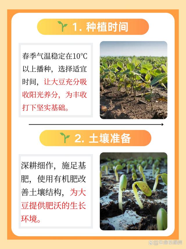 大豆的种植方法(大豆的种植方法和技术)