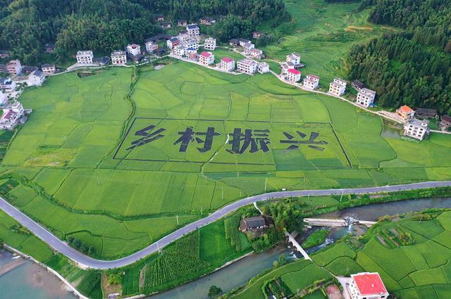 农村基础设施建设的重要性(农村基础设施建设的重要性有哪些)
