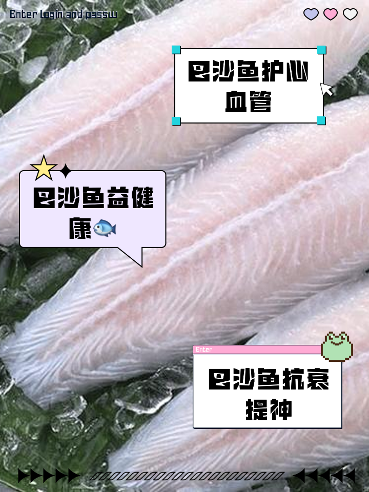 巴沙鱼苗养殖技术(巴沙鱼苗养殖技术与管理)