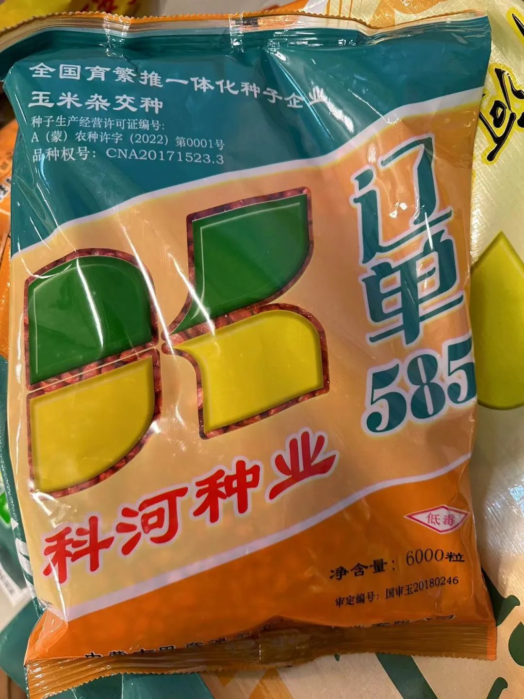 辽单585玉米种子简介(辽单575玉米种子哪里买)