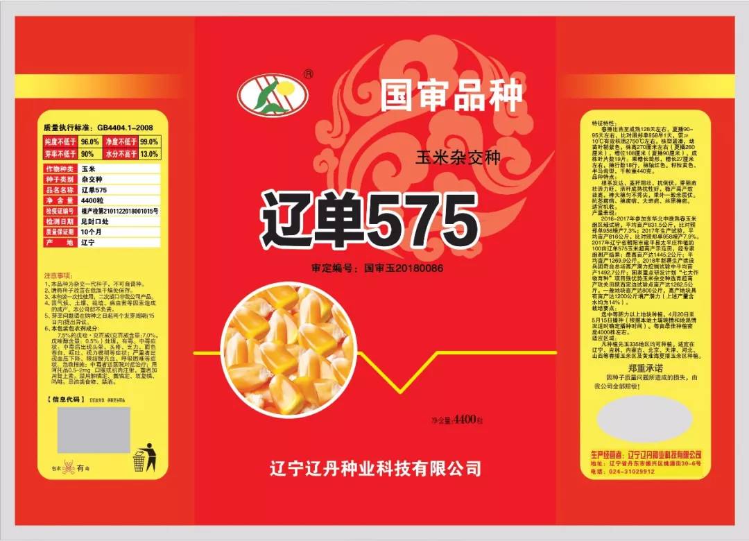辽单585玉米种子简介(辽单575玉米种子哪里买)