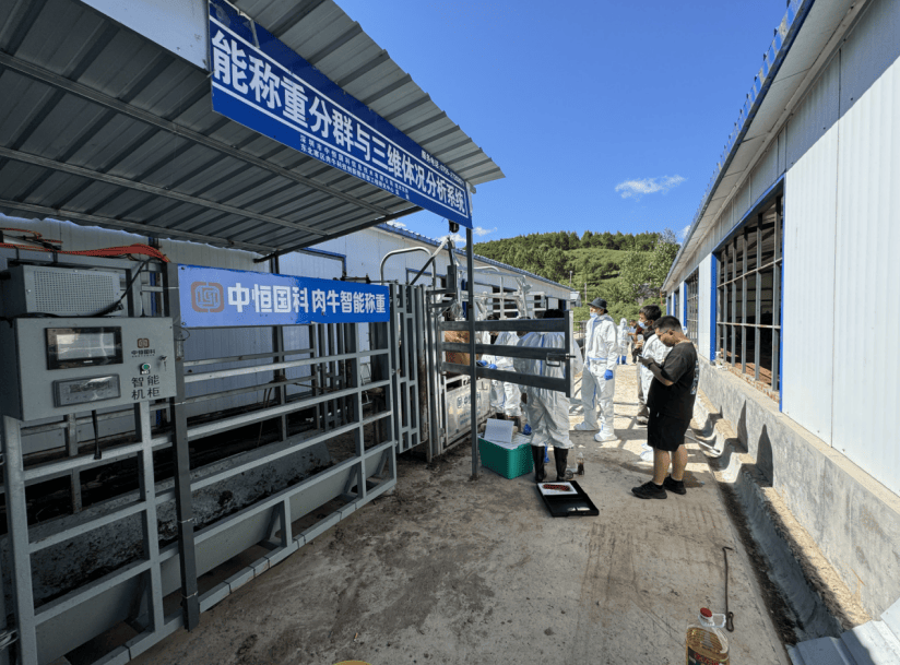 养牛技术建设(养牛建设规模及内容怎么写)