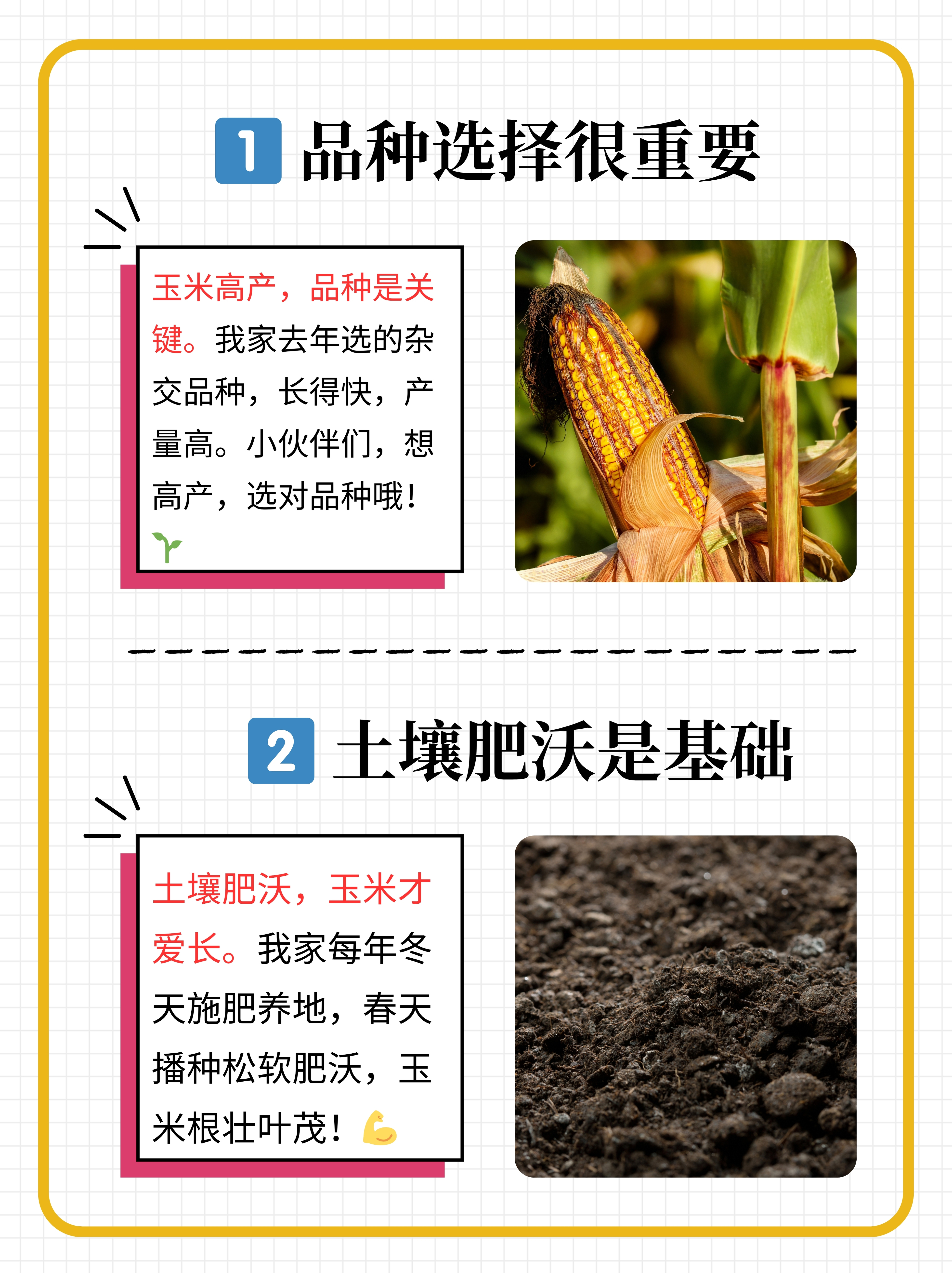 秋季玉米最晚几月份种(秋玉米最晚几月就不能种了)