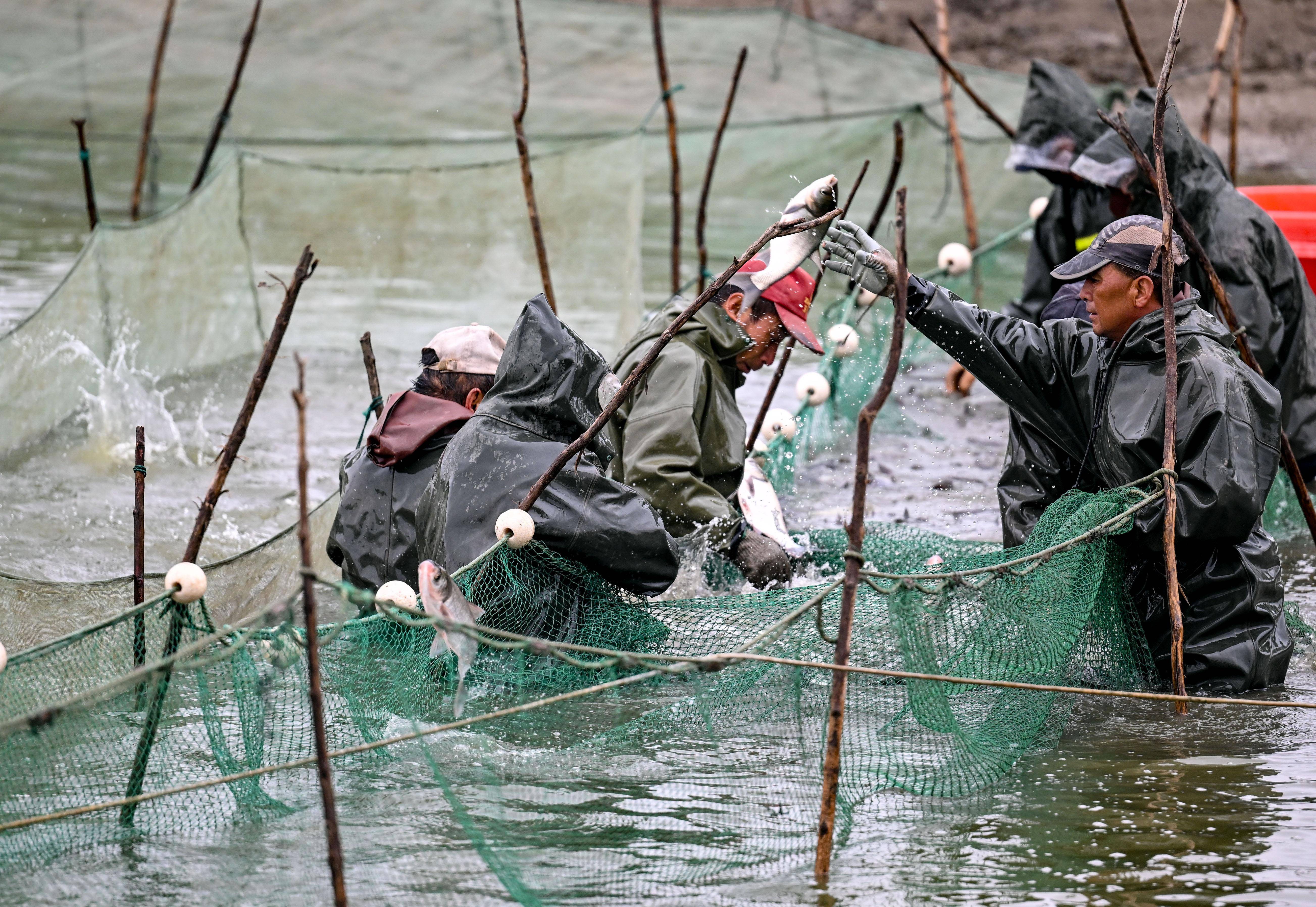 淡水水产养殖(淡水水产养殖水质标准)