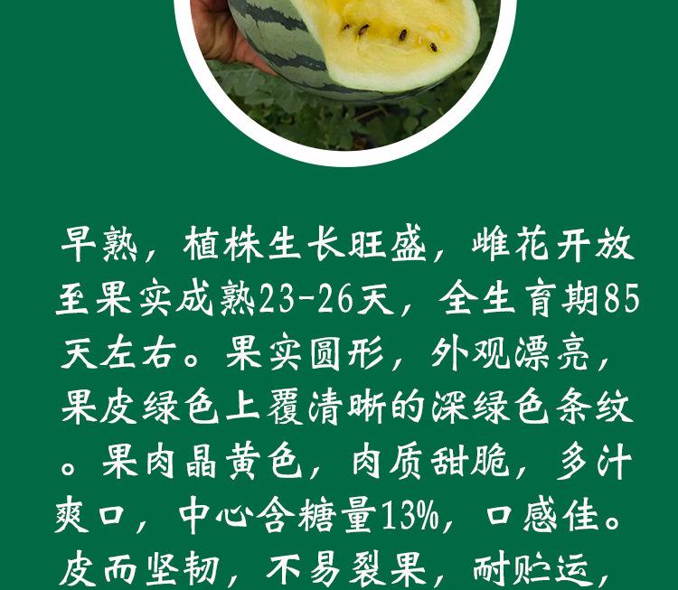 西瓜种子哪个品牌好(目前国内最好的西瓜种子)