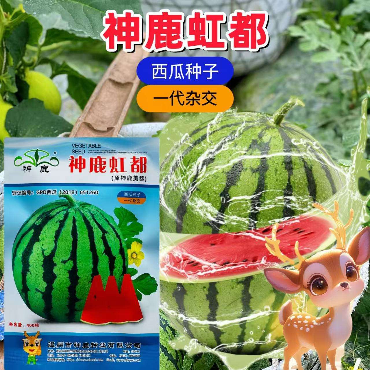 西瓜种子哪个品牌好(目前国内最好的西瓜种子)
