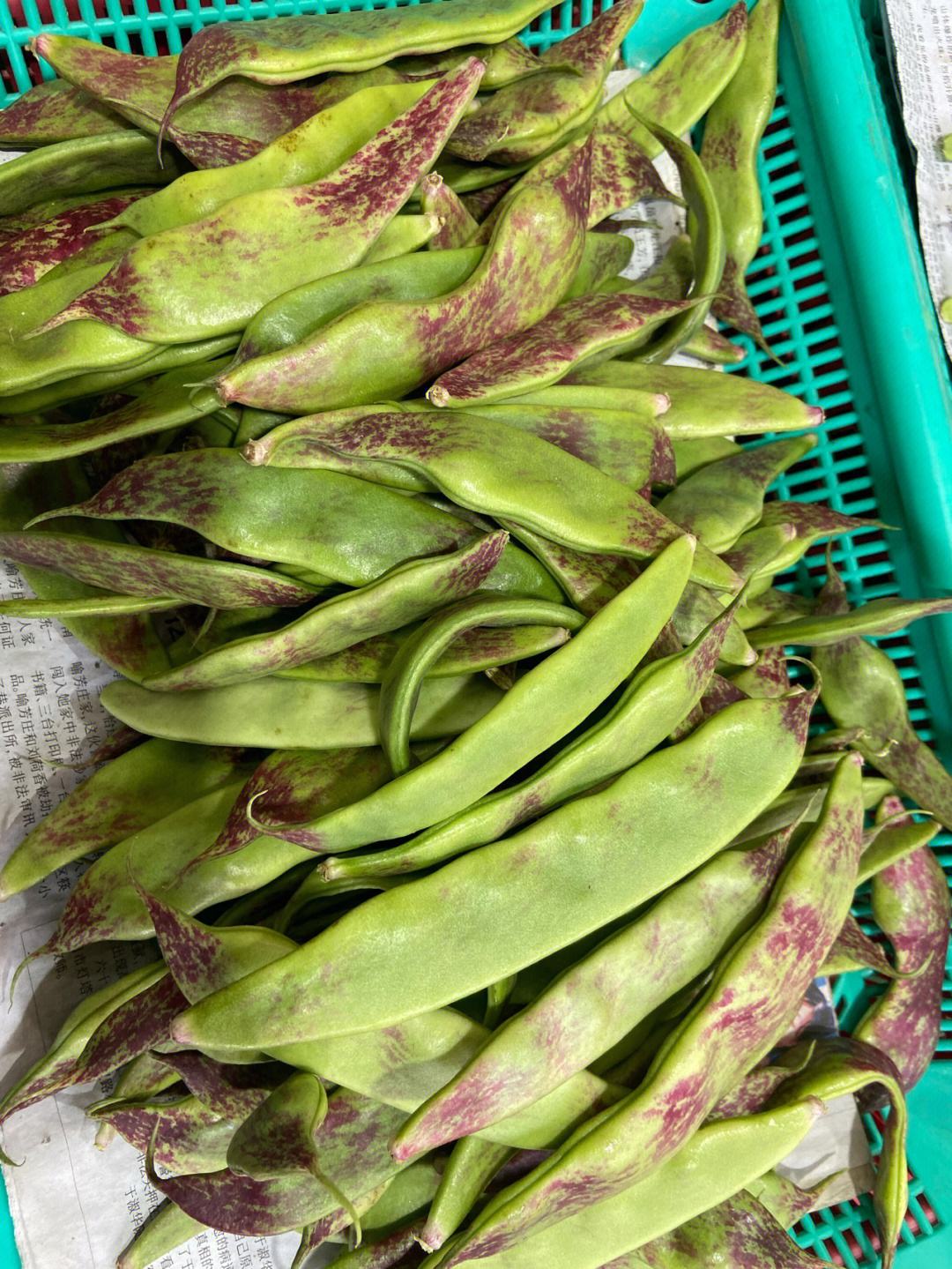 带绒毛的豆角(带绒毛的豆角可以吃吗)