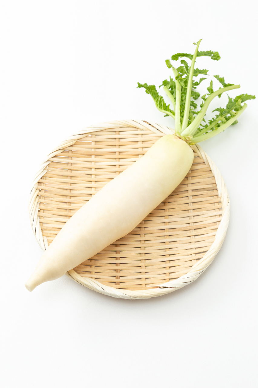 九月适合种那些蔬菜(九月适合种那些蔬菜和水果)