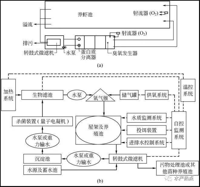 工厂化循环水产养殖系统(工厂化养鱼循环水养鱼工厂化循环水养殖2)