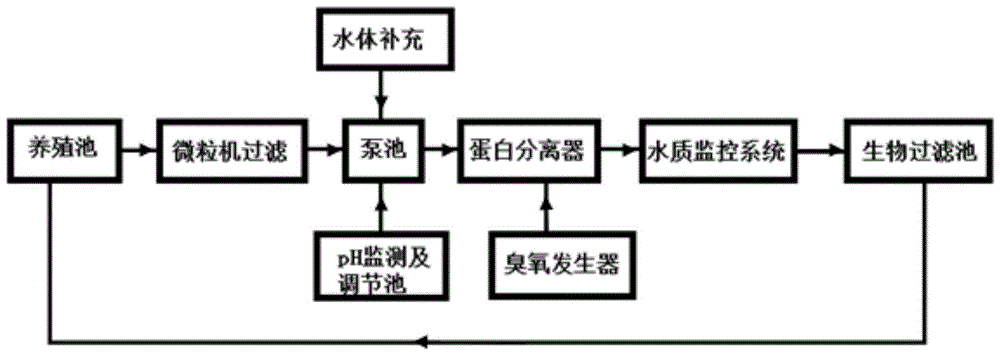 工厂化循环水产养殖系统(工厂化养鱼循环水养鱼工厂化循环水养殖2)