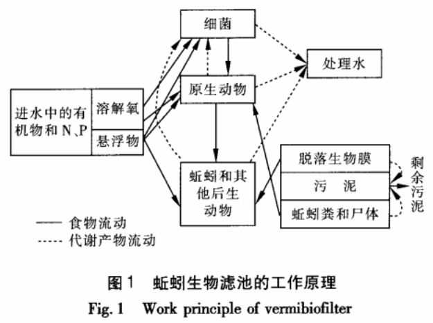 鸡粪养殖蚯蚓技术(鸡粪发酵养蚯蚓各种配方)