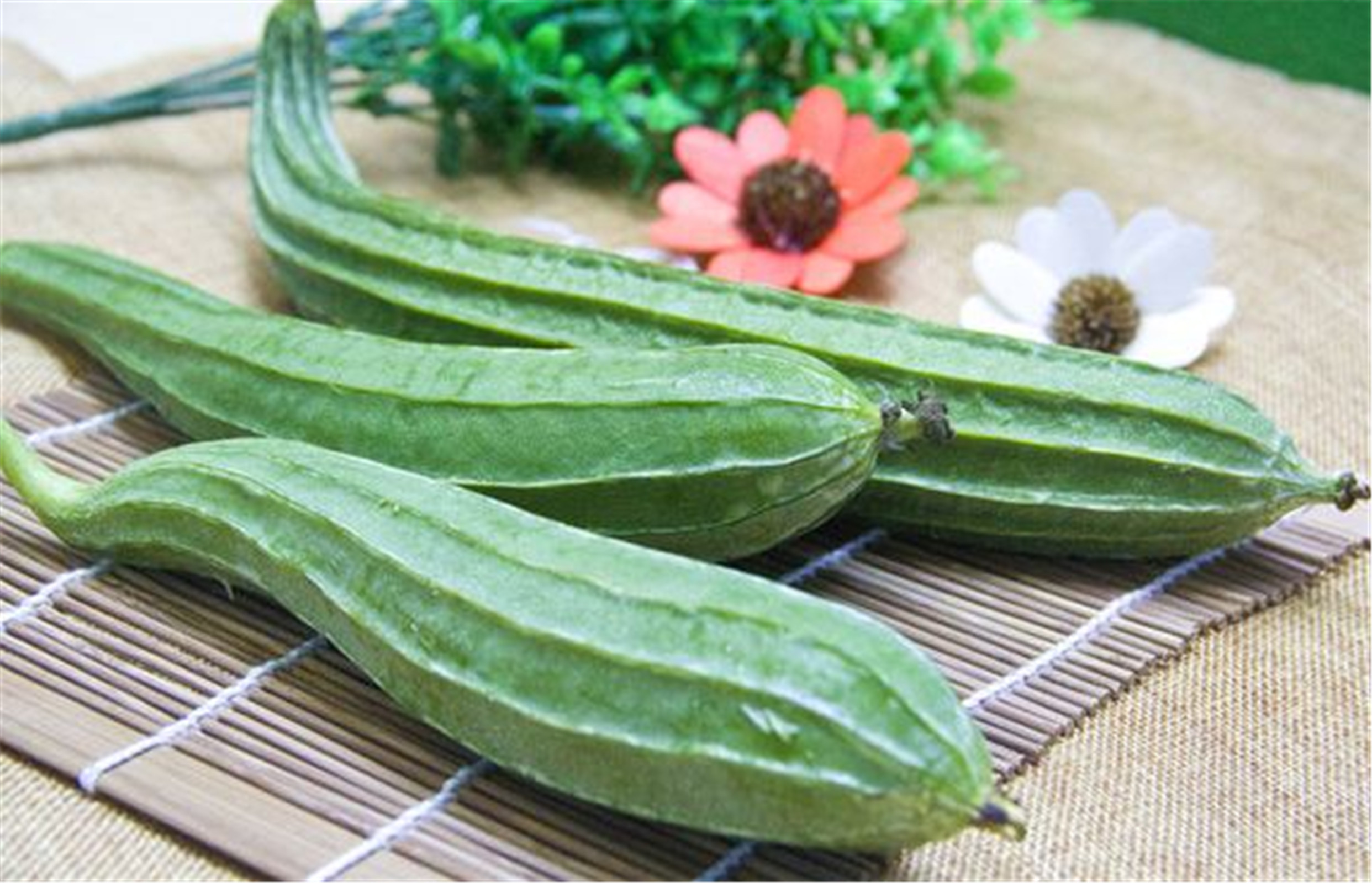八角丝瓜几月份种植(八角丝瓜什么时候播种最好)