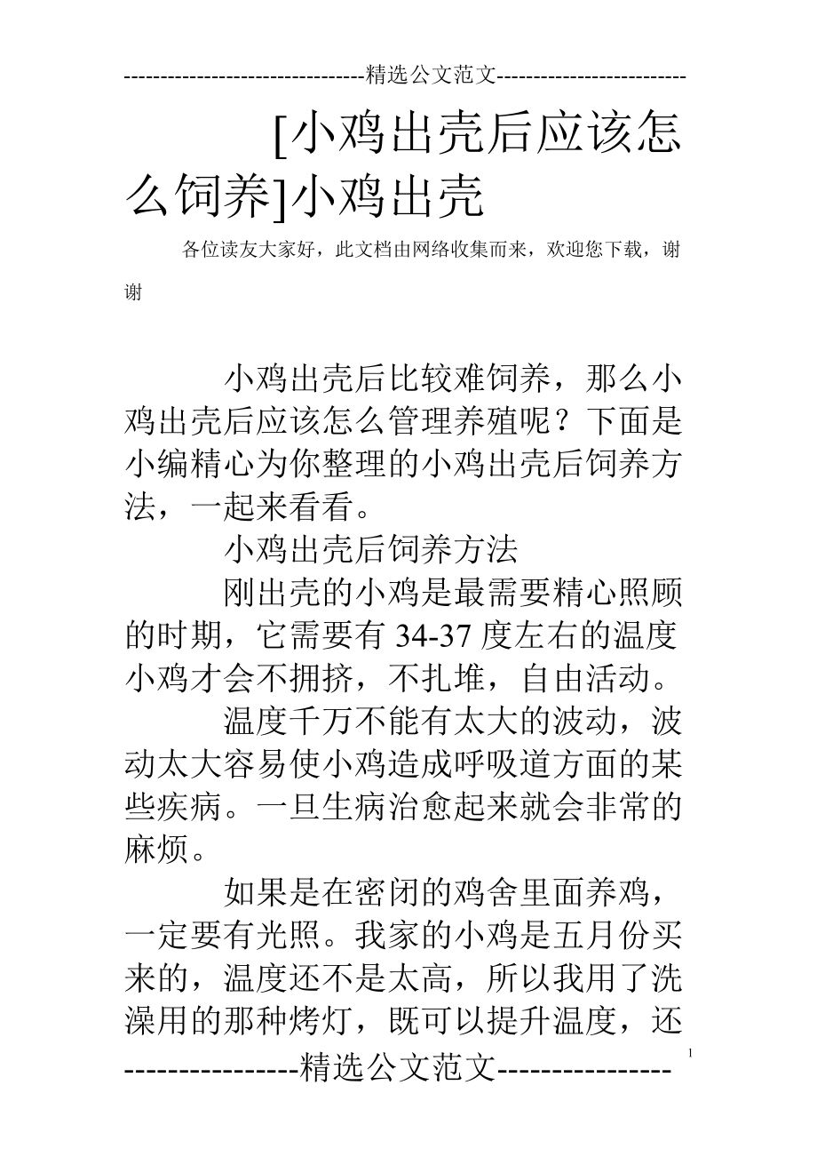 两个小鸡怎么养(两只小鸡能养活吗)