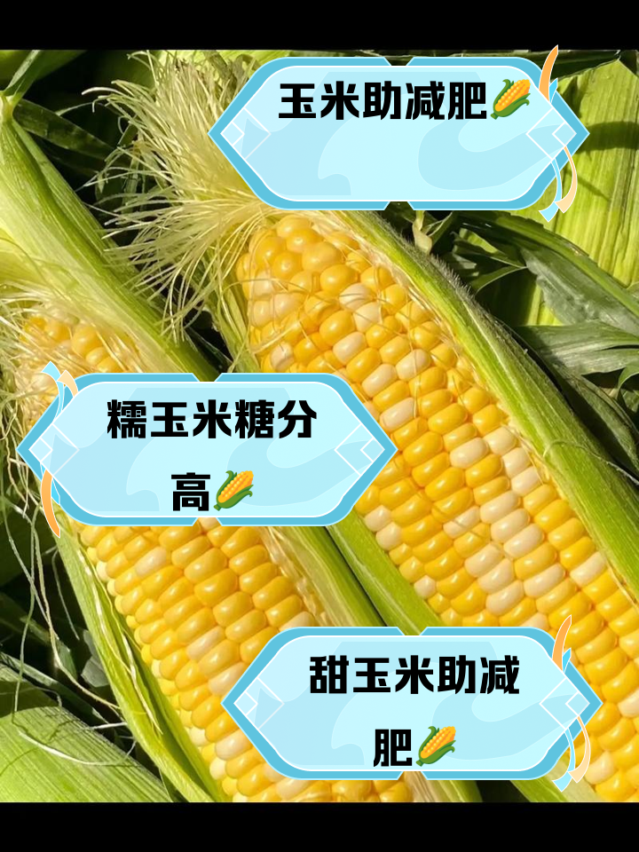 玉米排行榜(十大名牌玉米排行榜)