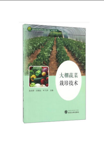 蔬菜大棚种植新技术(蔬菜大棚种植新技术有哪些)