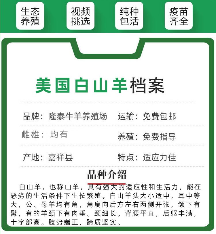 白山羊养殖技术(白山羊的养殖技术)