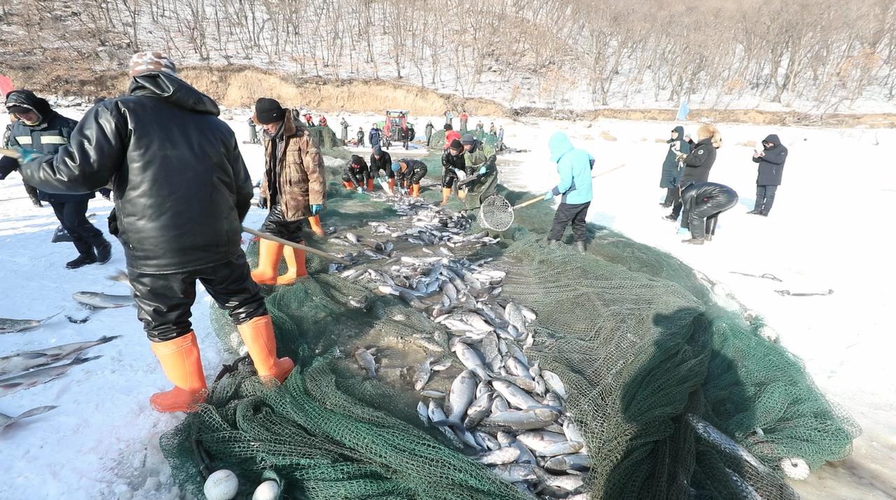 黑龙江省镜泊湖水产养殖场(黑龙江省镜泊湖水产养殖场胖头鱼价格)