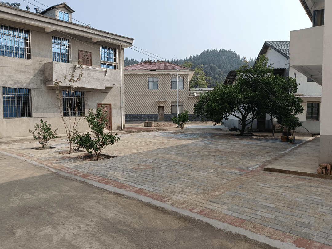 新农村建设哪年开始(新农村建设什么时候实行)