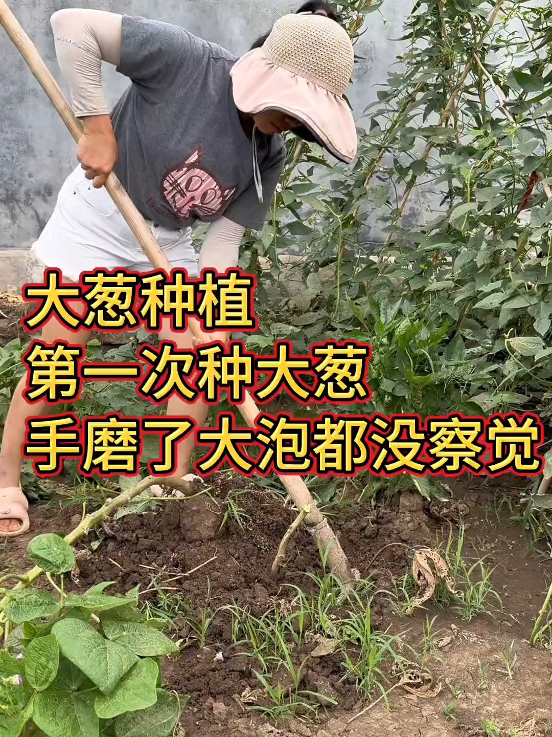 大葱种植方法大全(大葱种植方法大全视频)
